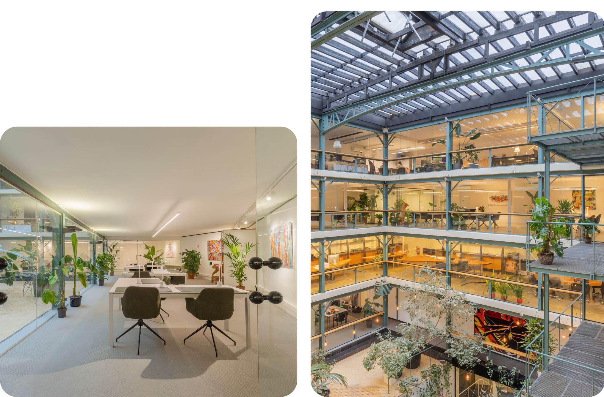 Botanic Coworking Space