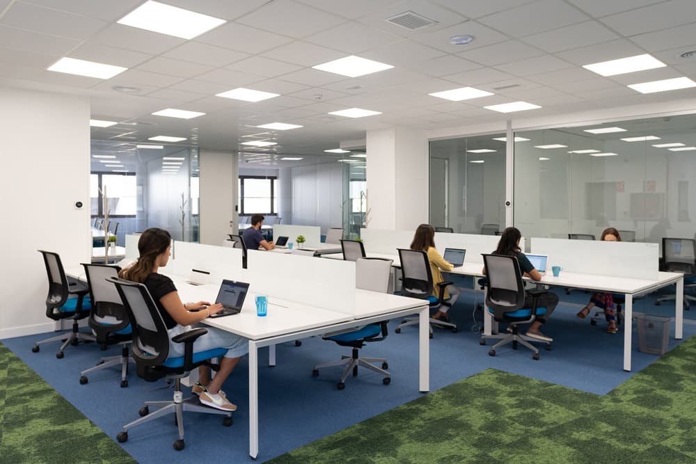 Mycoworking