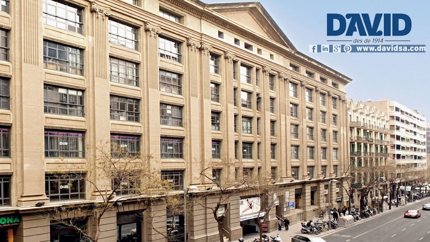 Edificio David
