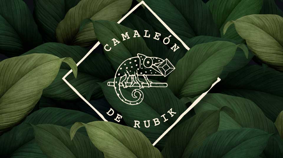 Camaleón De Rubik