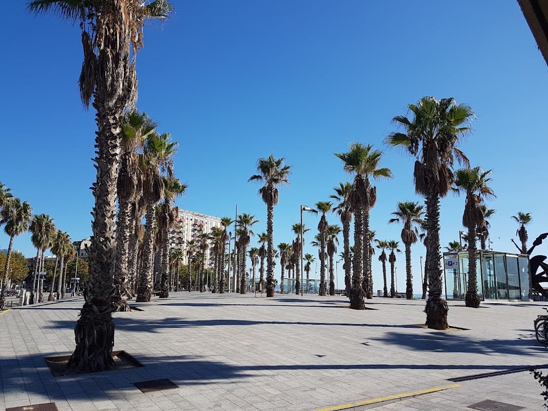 Spaces (IWG) - Spaces - Barceloneta