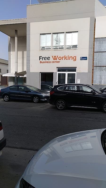 Free Working