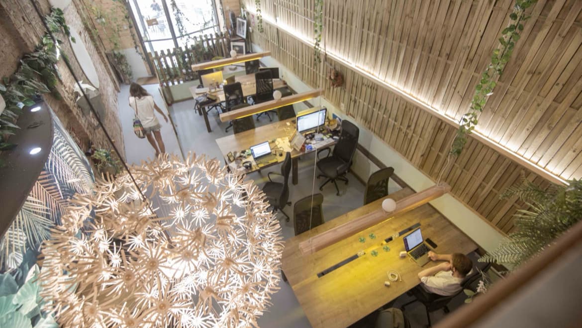 Jungle Coworking